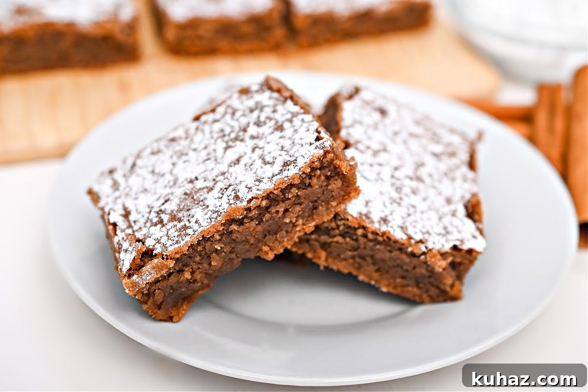 Low-Carb Gingerbread Brownies Recipe 7 img 50694 6