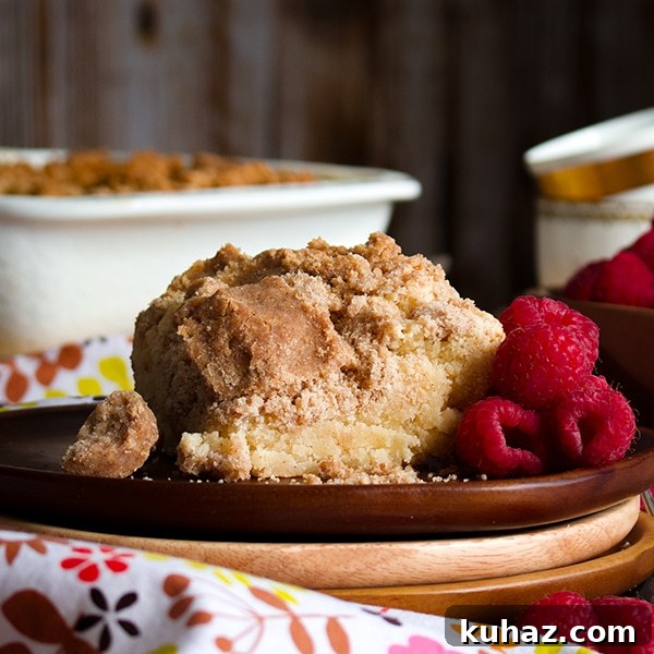 Buttery Brown Sugar Crumb Cake with Generous Crumb Topping 2 New York Style Crumb Cake