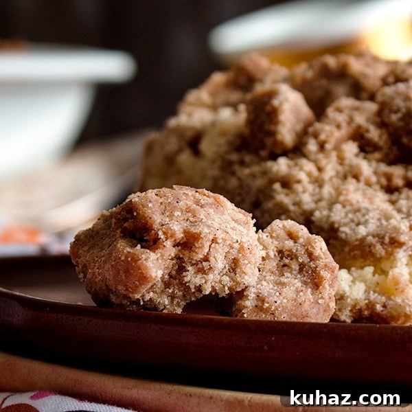Buttery Brown Sugar Crumb Cake with Generous Crumb Topping 3 A close up of the brown sugar crumb on a piece of New York Style Crumb Cake