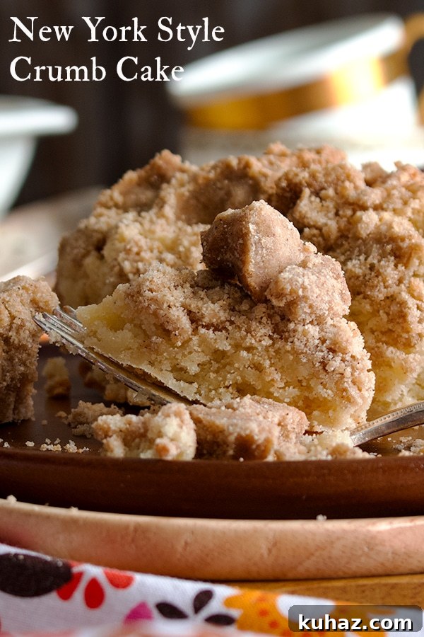 Buttery Brown Sugar Crumb Cake with Generous Crumb Topping 10 New York Style Crumb Cake