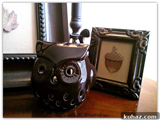 Acorn and owl framed stickers