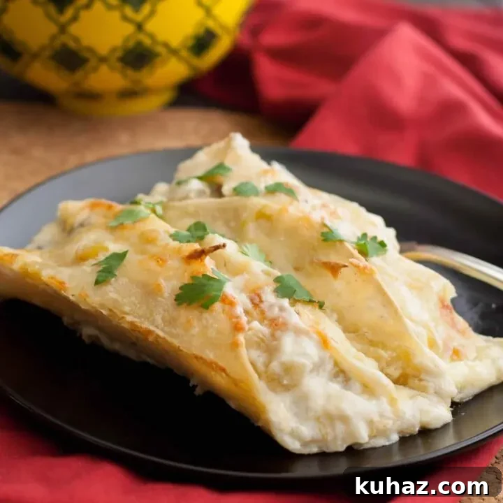 Breakfast Enchiladas Suizas. Scrambled eggs, sausage and Monterey Jack cheese are wrapped in corn tortillas and baked in a green chili sour cream sauce.