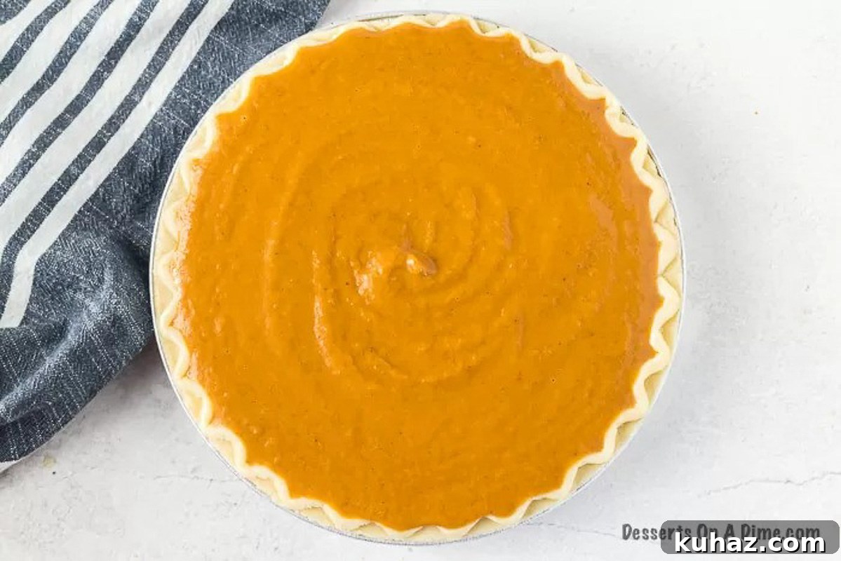 Classic Creamy Pumpkin Pie with Flaky Crust 7 Pour into the pie plate