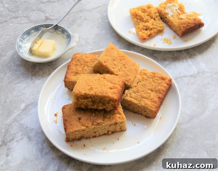 Moist Vegan Gluten-Free Cornbread Recipe 2 Healthy Cornbread - the best vegan gluten-free dairy-free high fiber low fat low sodium sugar free cornbread Christy Brissette media registered dietitian nutritionist in Chicago - president of 80 Twenty Nutrition