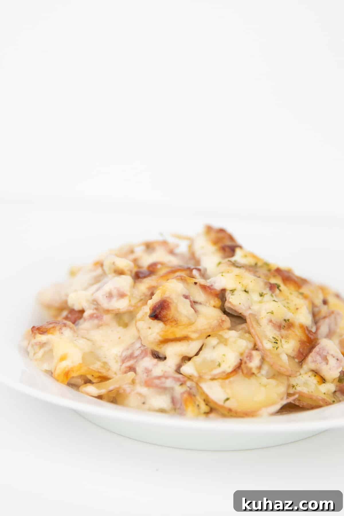Oven Baked Creamy Scalloped Potatoes with Ham 2 creamy scalloped potatoes with ham