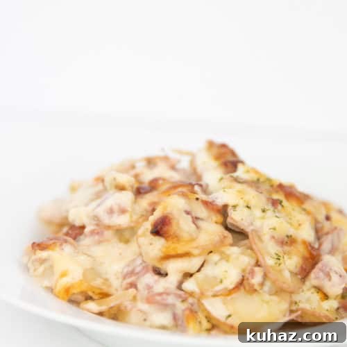 Oven Baked Creamy Scalloped Potatoes with Ham 9 plate of creamy scalloped potatoes with ham