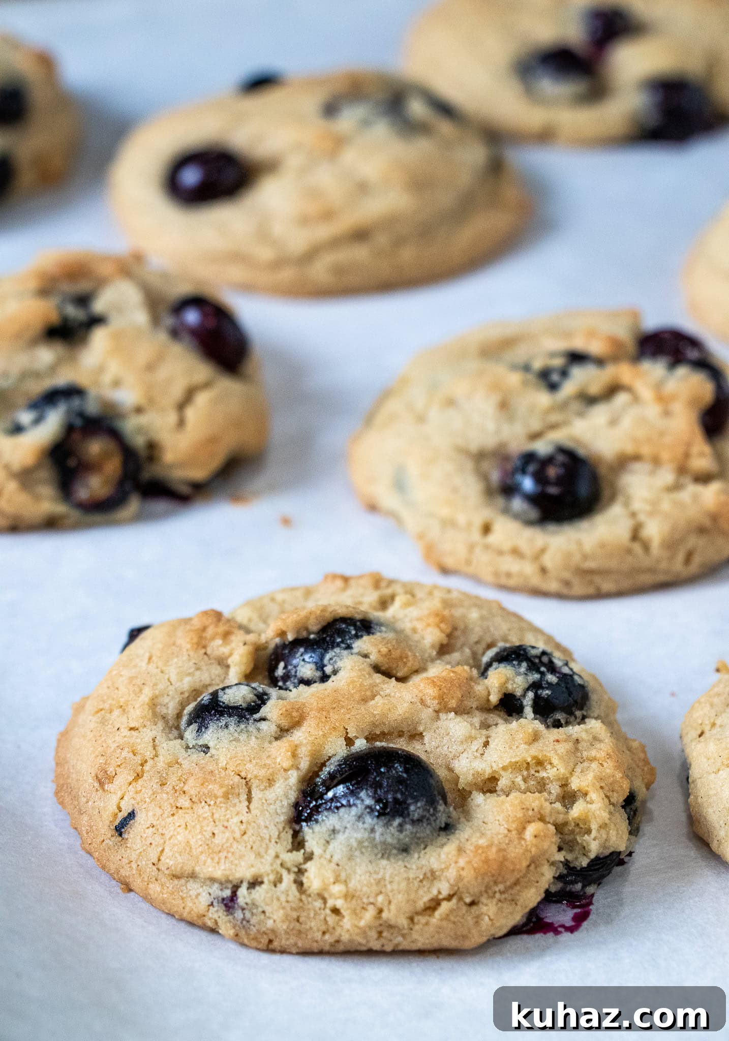 Blueberry Cookies Recipe: Soft, Chewy with Lemon Zest 2 Blueberry cookies on a plate
