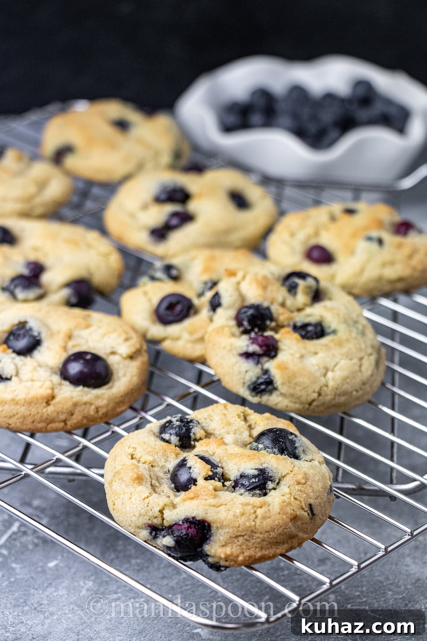 Blueberry Cookies Recipe: Soft, Chewy with Lemon Zest 3 Close-up of a blueberry cookie