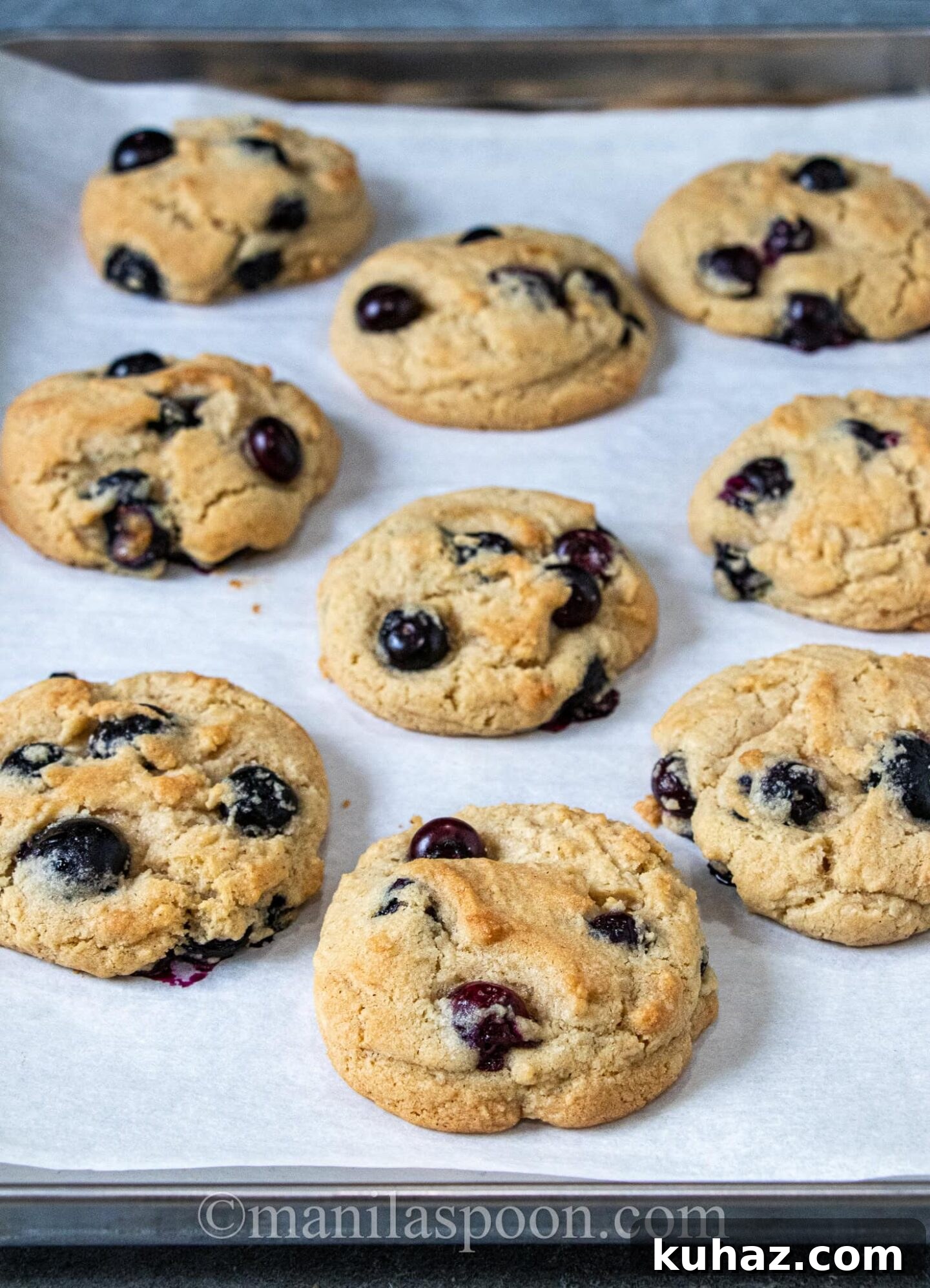 Blueberry Cookies Recipe: Soft, Chewy with Lemon Zest 5 Blueberry cookie close-up