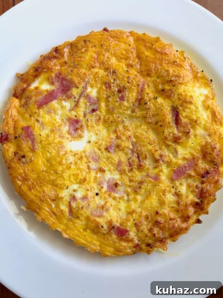 Air Fryer Ham and Cheese Omelet 2 air fryer ham and cheese omelet finished and ready to eat
