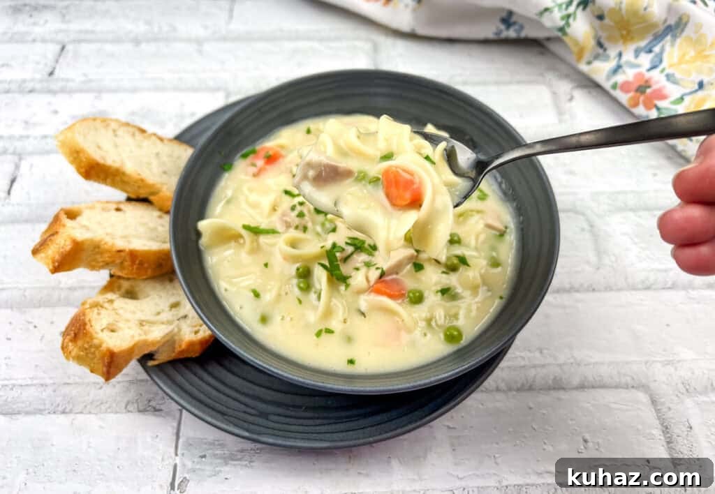 Creamy Turkey Noodle Soup Recipe with Leftover Turkey 9 Creamy Turkey Noodle Soup on a bowl with bread slices on a plate.