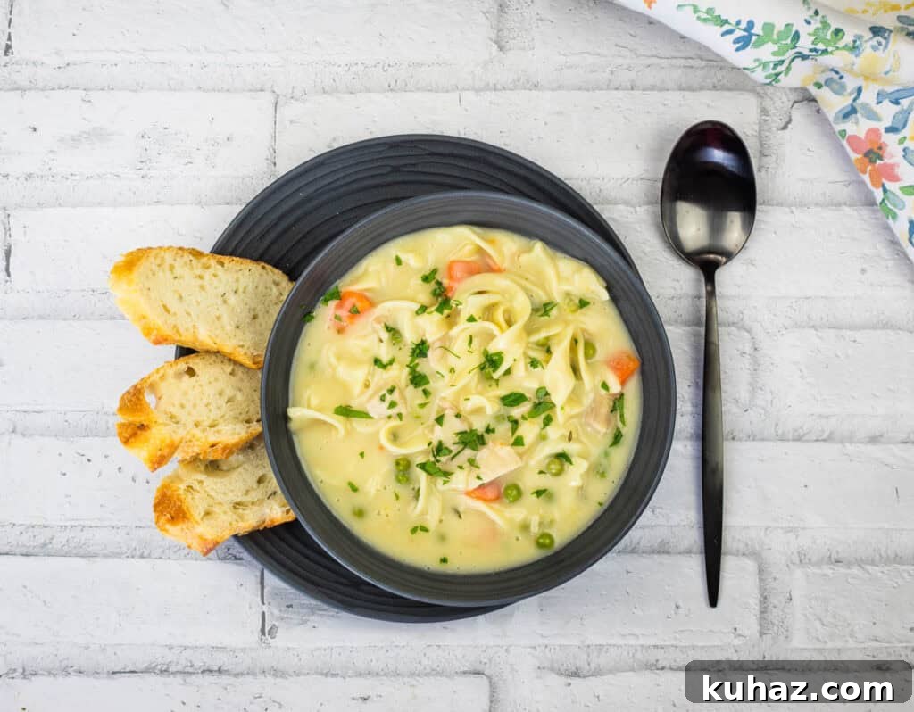 Creamy Turkey Noodle Soup Recipe with Leftover Turkey 10 Top-down shot of Creamy Turkey Noodle Soup on a bowl with bread slices on a plate.