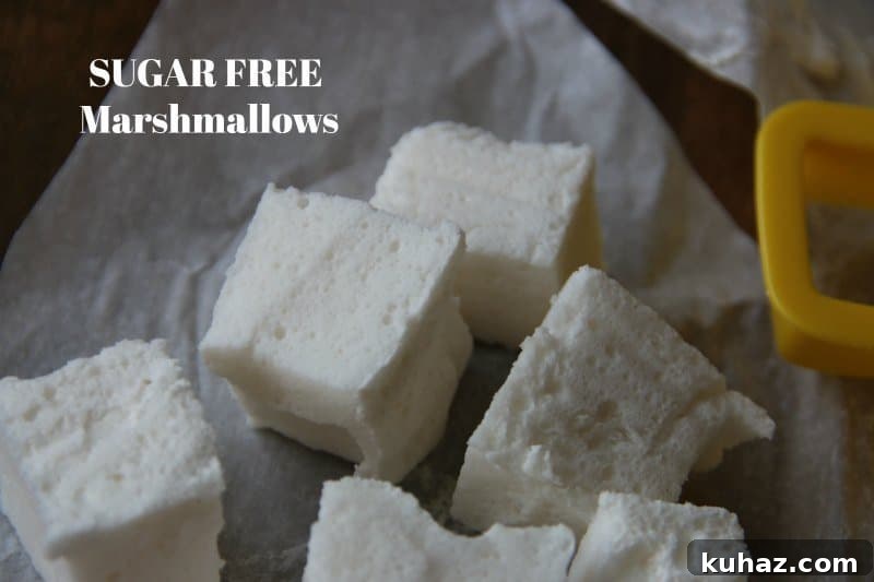 Sugar-Free Chocolate Covered Marshmallows