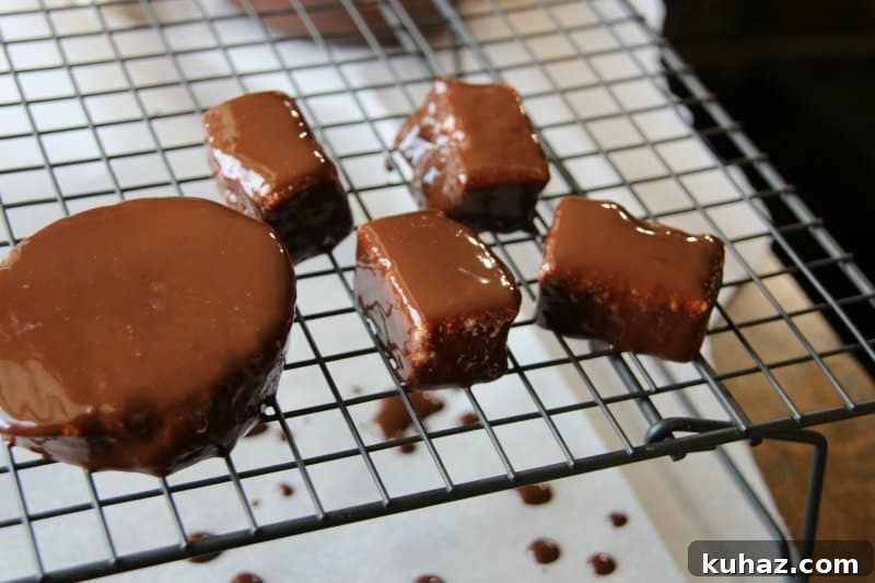 Sugar-Free Chocolate Covered Marshmallows
