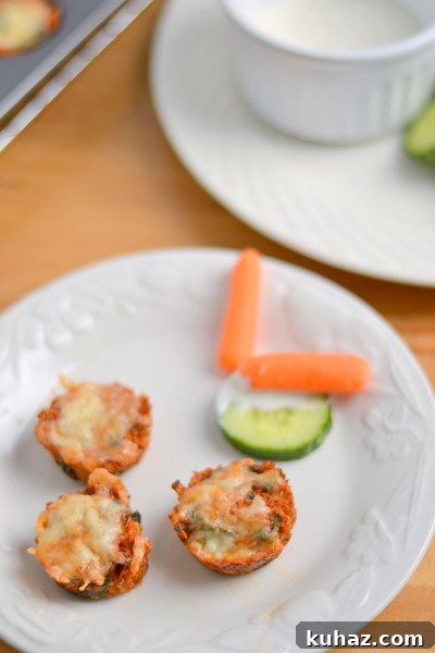 Mini Quinoa Pizza Bites with Mozzarella and Tomato 2 Pizza Quinoa Bites1