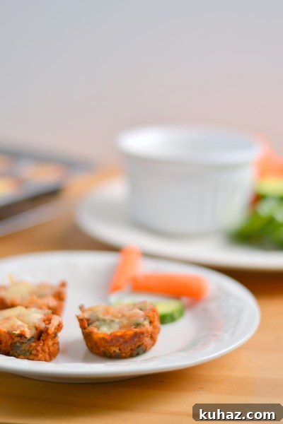 Mini Quinoa Pizza Bites with Mozzarella and Tomato 4 Pizza Quinoa Bites5