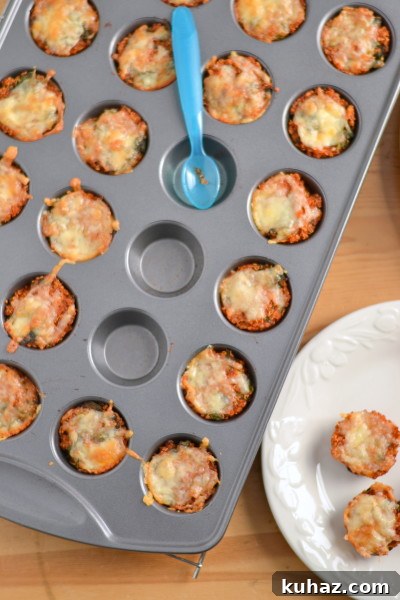 Mini Quinoa Pizza Bites with Mozzarella and Tomato 6 Pizza Quinoa Bites7