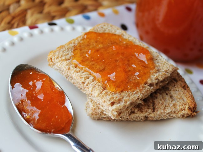 How to Make Apricot Jam at Home 2 Homemade Apricot Jam
