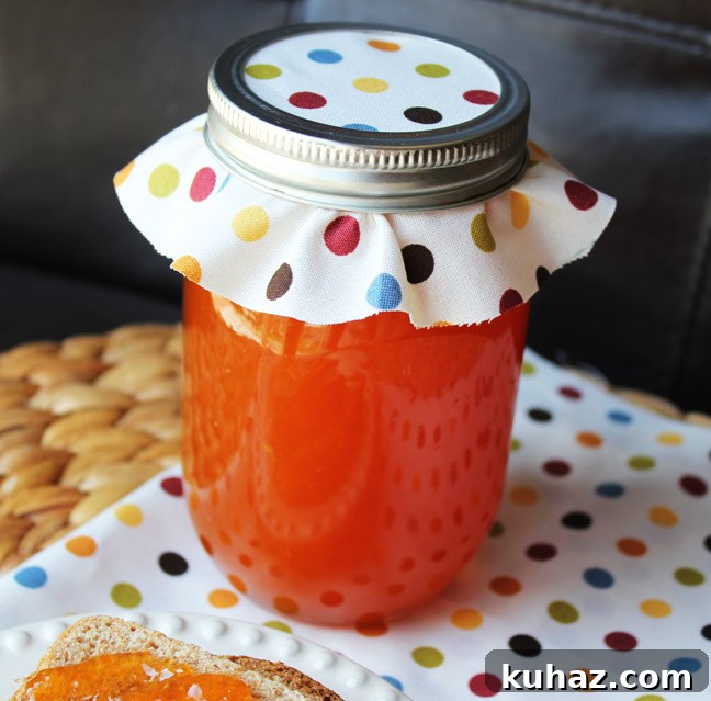 How to Make Apricot Jam at Home 5 Homemade Apricot Jam from Jamie Cooks It Up!