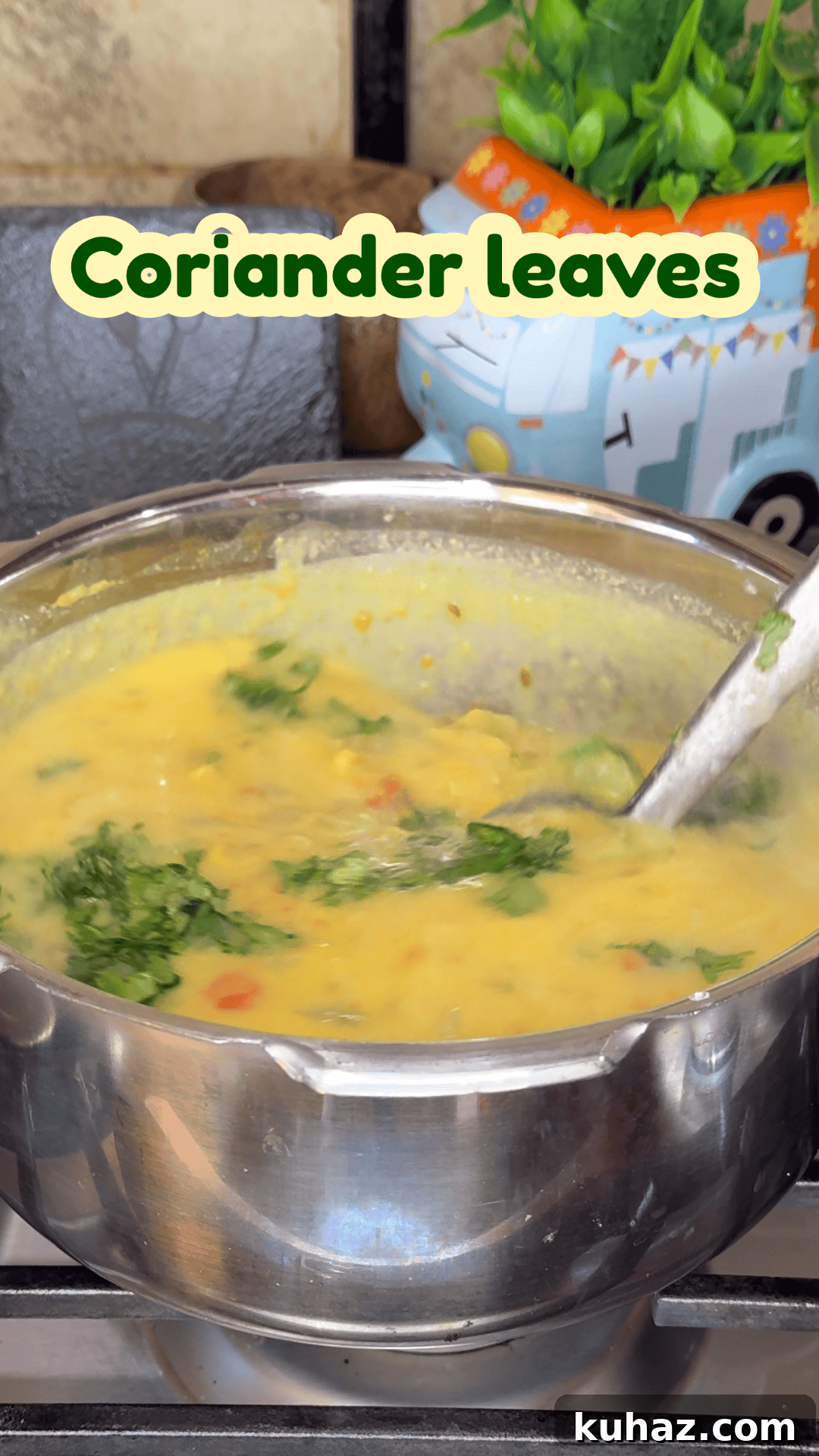 Add coriander leaves