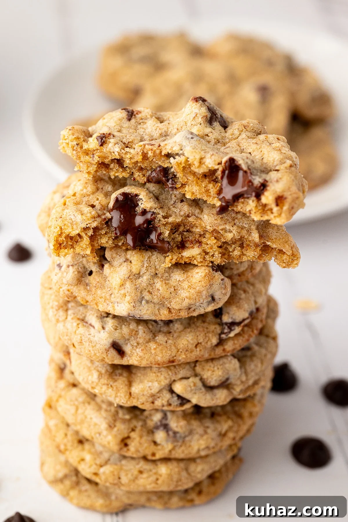 Thick, Chewy Chocolate Chip Cookies Recipe 3 img 7704 2