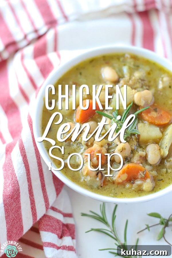 One Pot Chicken and Lentil Soup for Weeknights 2 Bowl of hearty chicken lentil soup with carrots, beans, and celery.