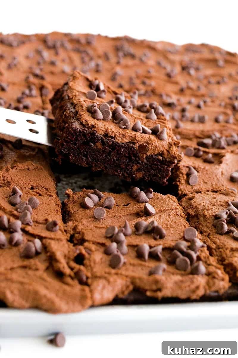 Decadent Double Chocolate Chip Sheet Cake 3 Whole chocolate sheet cake on a tray