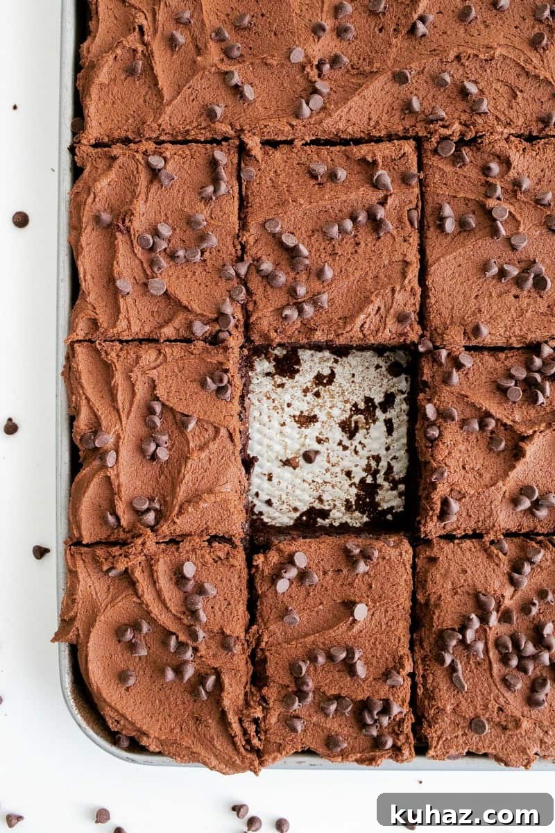 Decadent Double Chocolate Chip Sheet Cake 4 Close-up of chocolate frosting and chips