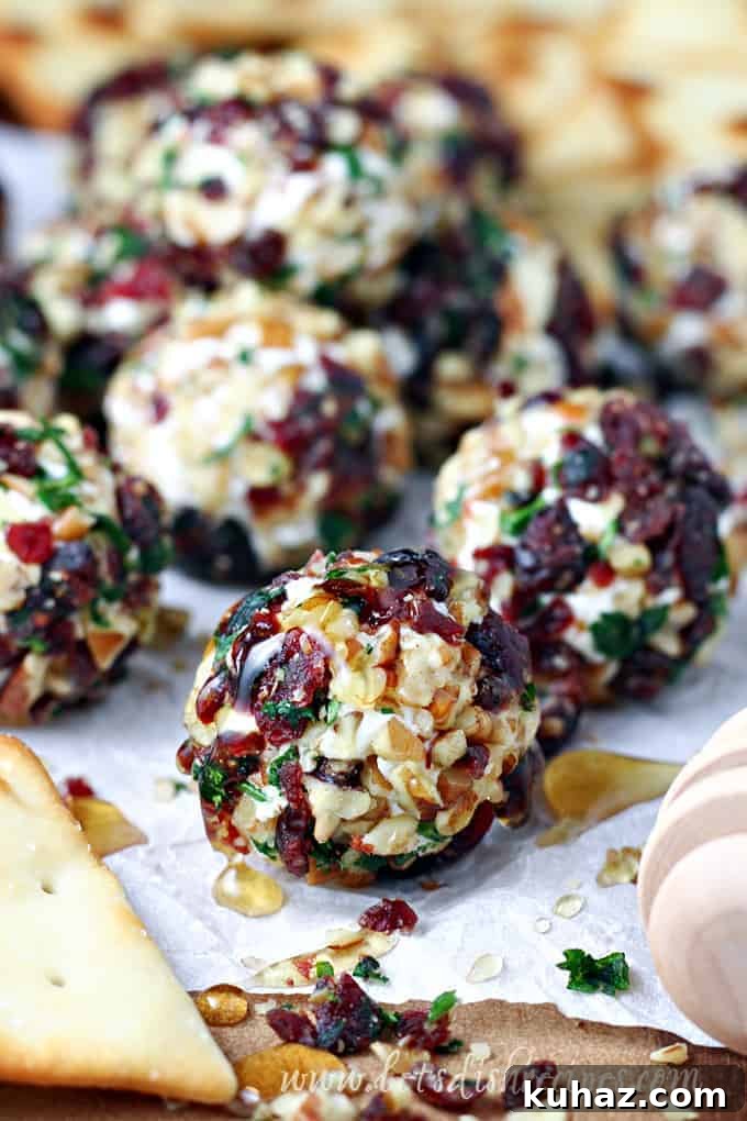 Cranberry nut goat cheese bites