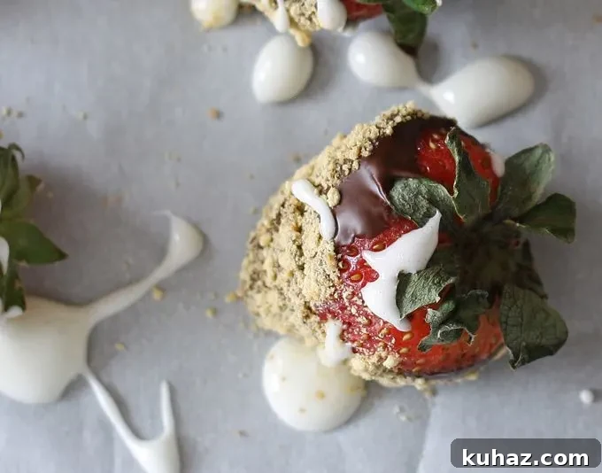 S'mores chocolate covered strawberries are the perfect dessert for Valentine's Day or treat for any day. Easy to make your own at home! | honeyandbirch.com