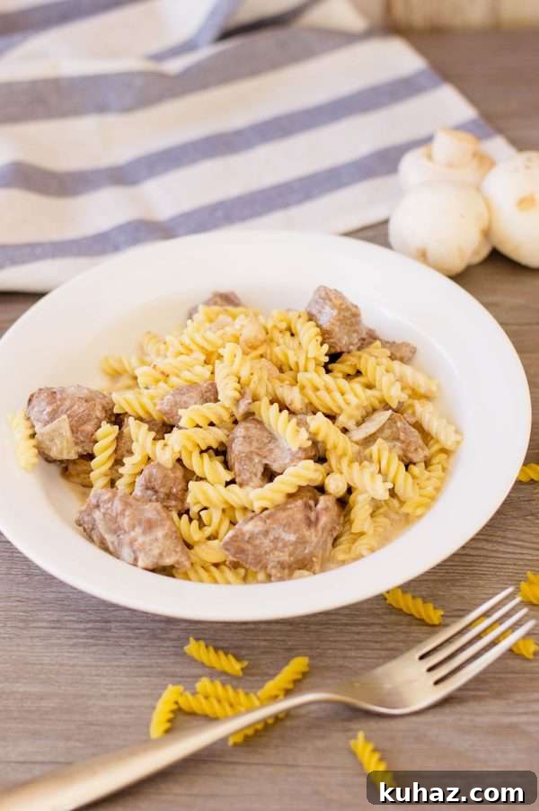 beef stroganoff