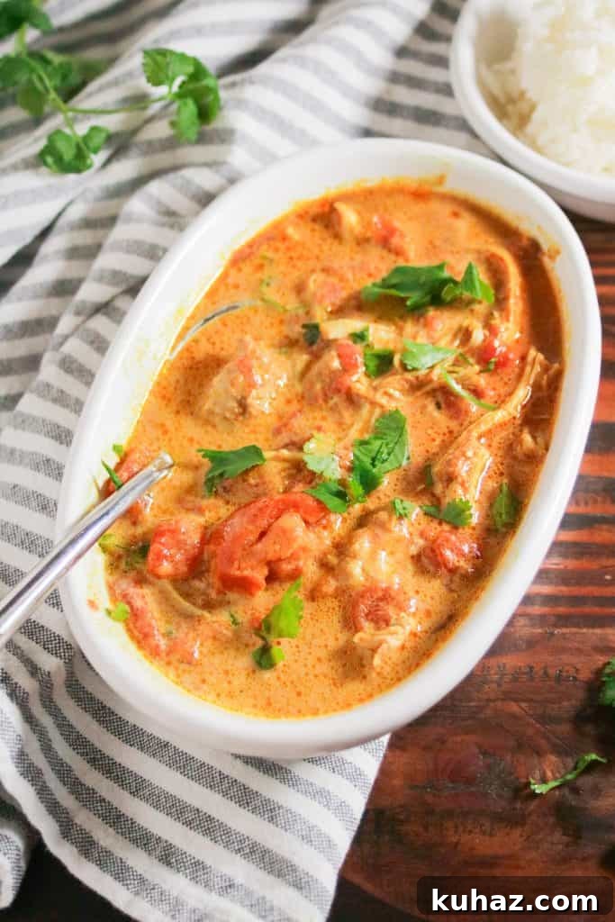 Dairy-Free, Gluten-Free Chicken Tikka Masala Recipe 7 img 905 7
