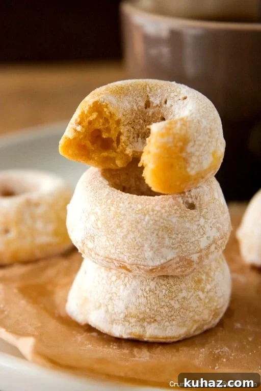Mini Pumpkin Donuts