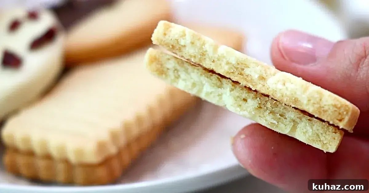 Buttery Classic Shortbread Cookies Recipe 18 a close-up of shortbread cookie texture