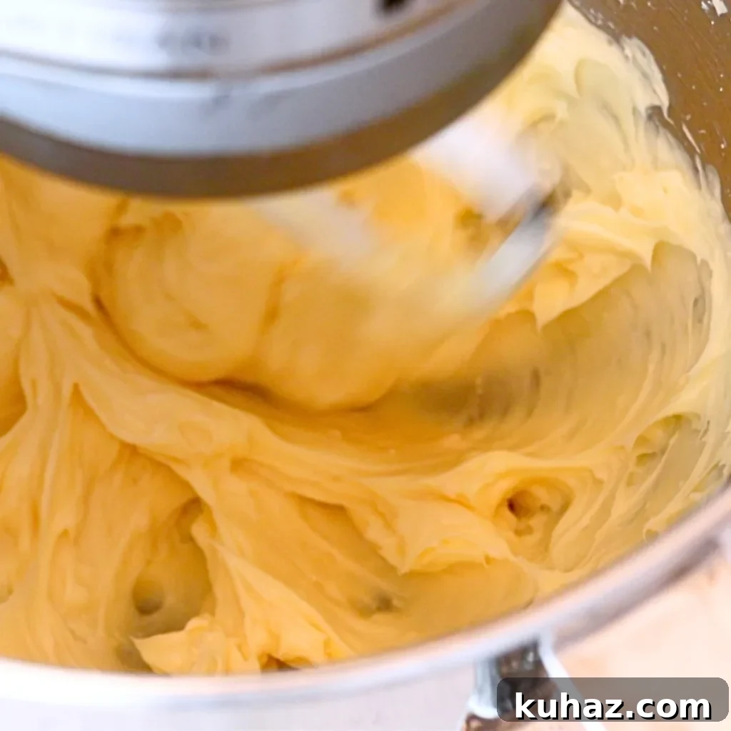 Buttery Classic Shortbread Cookies Recipe 9 mixed butter, powdered sugar and vanilla to make shortbread cookies