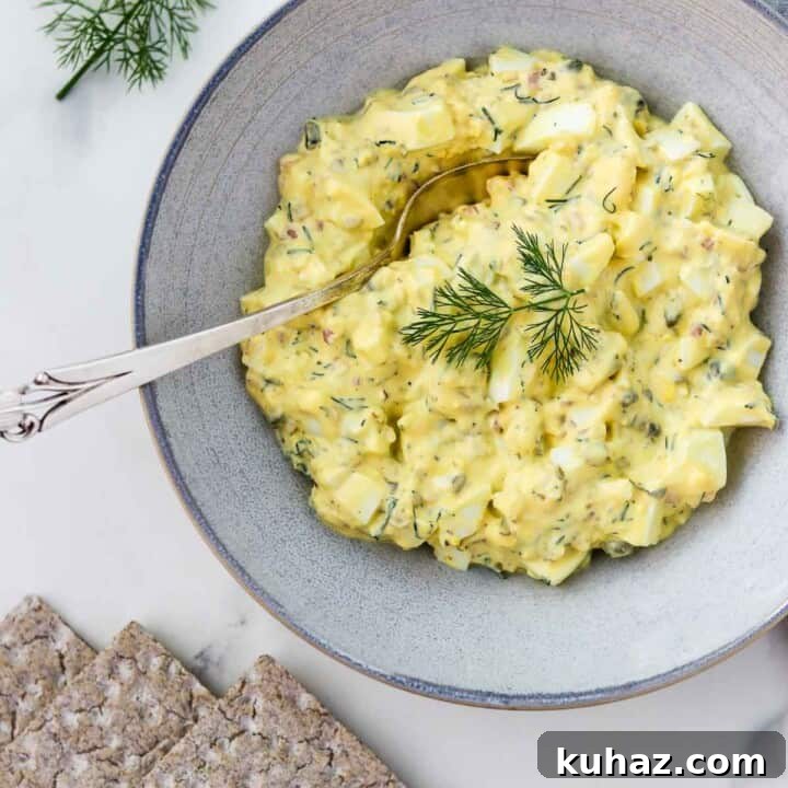 Egg salad in a bowl with a spoon next to crackers and dill sprigs.
