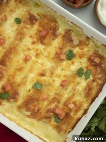 Sour Cream Chicken Enchiladas