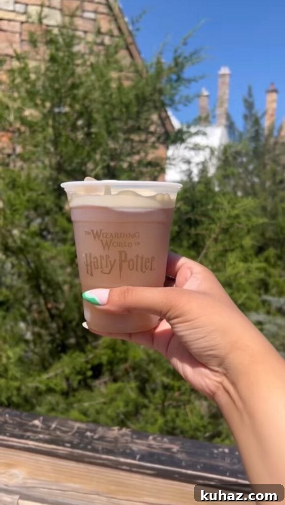 How to Make Harry Potter Butterbeer at Home 3 Hand holding butterbeer at a theme park