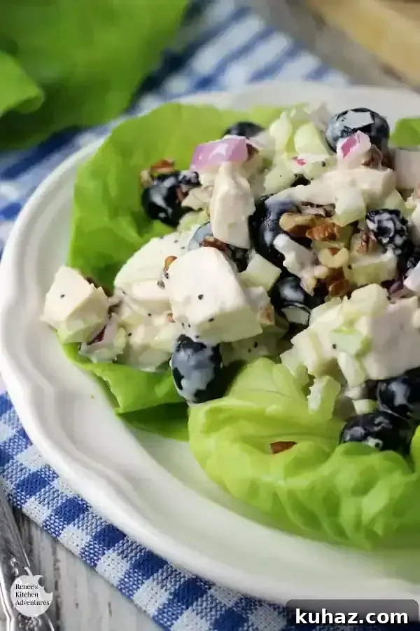 35 Unique Chicken Salad Recipes for Light Dinners and Lunch Prep 27 Blueberry Pecan Chicken Salad
