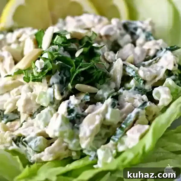 35 Unique Chicken Salad Recipes for Light Dinners and Lunch Prep 31 Creamy Lemon Basil Chicken Salad