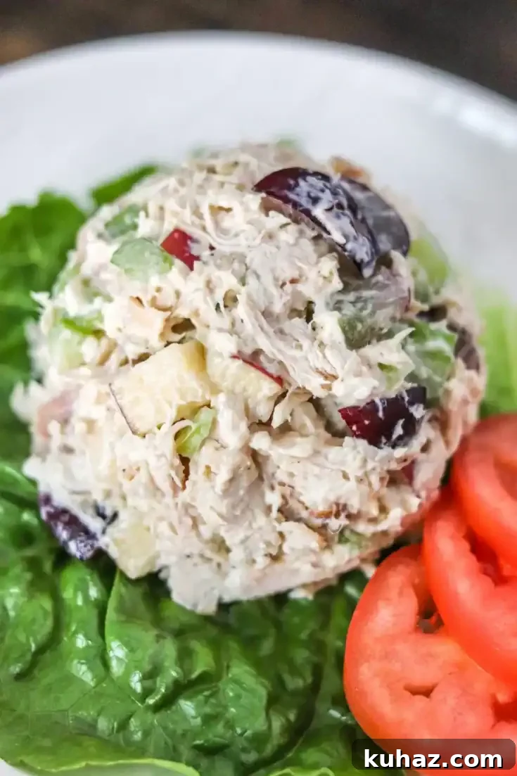 35 Unique Chicken Salad Recipes for Light Dinners and Lunch Prep 37 Fancy Nancy Chicken Salad