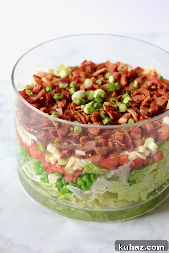 Sarah Layered Salad Recipe 6 layered salad