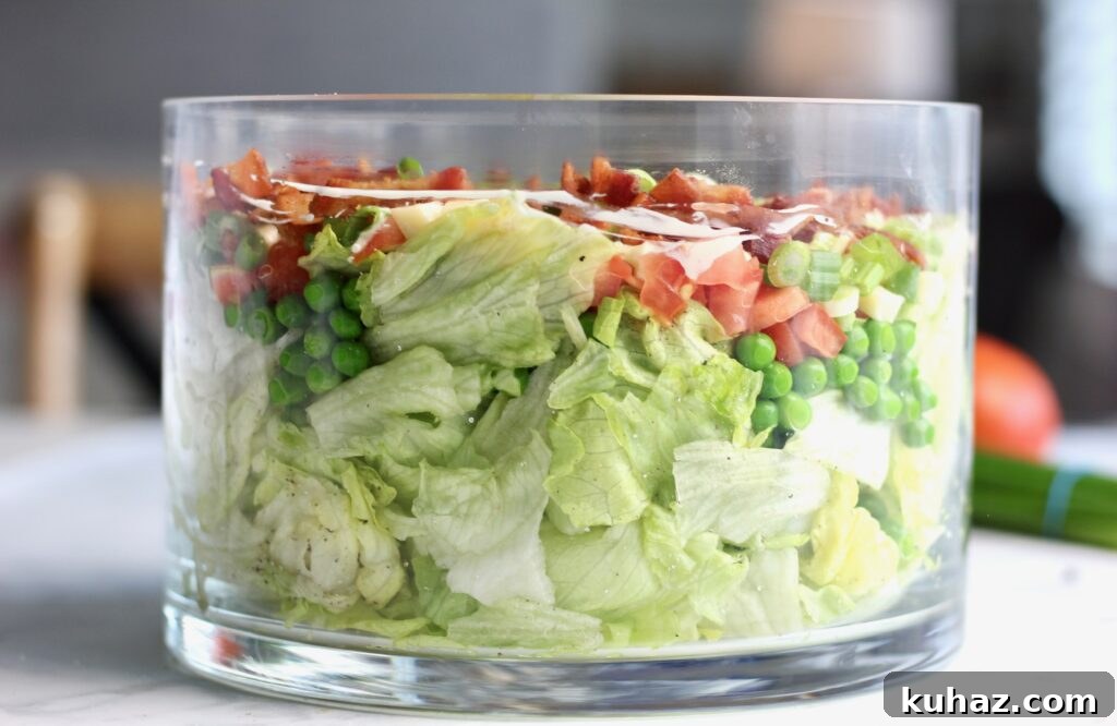 Sarah Layered Salad Recipe 8 layered salad